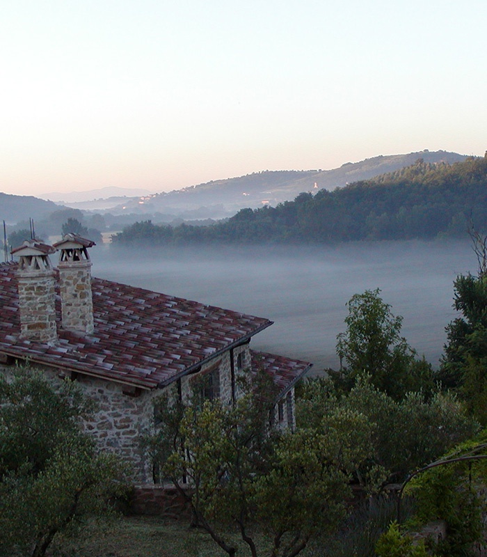 Misty morning