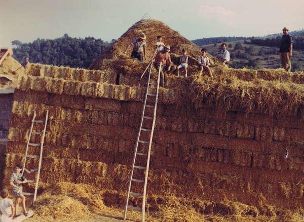 25th july 1971: people on the haystack