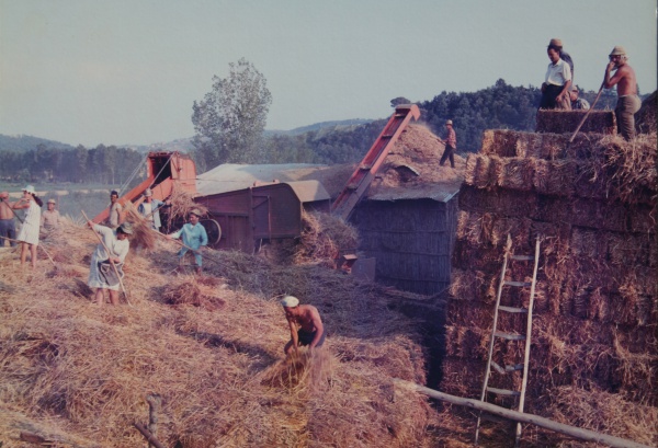 25th july 1971: harvest time for the family of Casale Monticchio