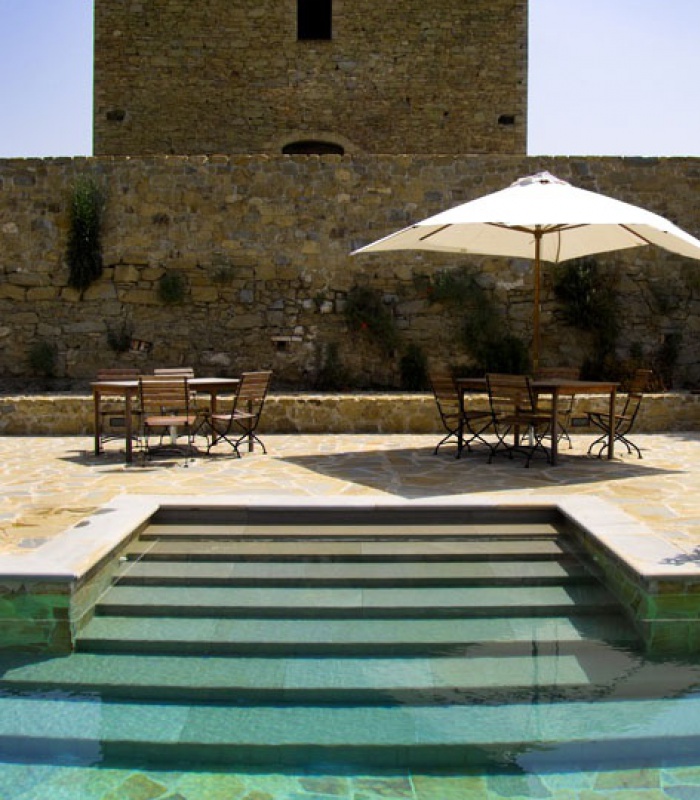 Swimming pool's steps