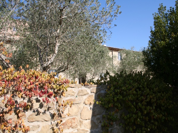 External view of the Large Apartment