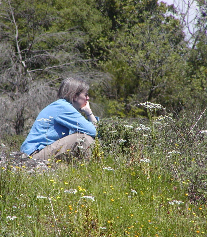 What's Alison thinking about?