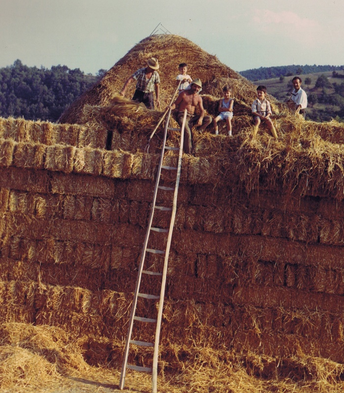 People on Haystack - 25th July 1971