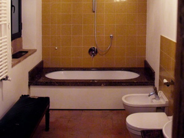 Large apartment's bathroom